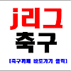 7월3일 J리그 일본 축구분석 요코하마 : 사간도스 프로토81회차  토토분석