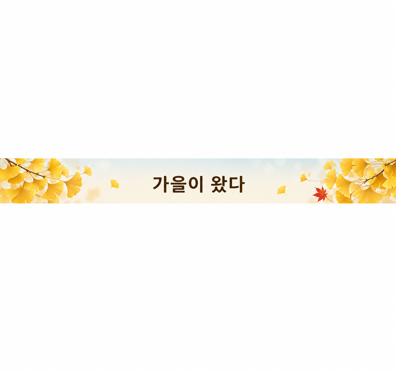 가을이 왔다