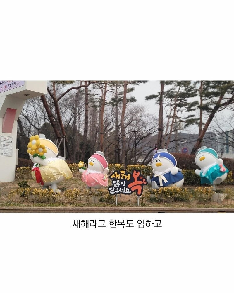 bt0d326428516bee12fb8cafd5606993af.jpg