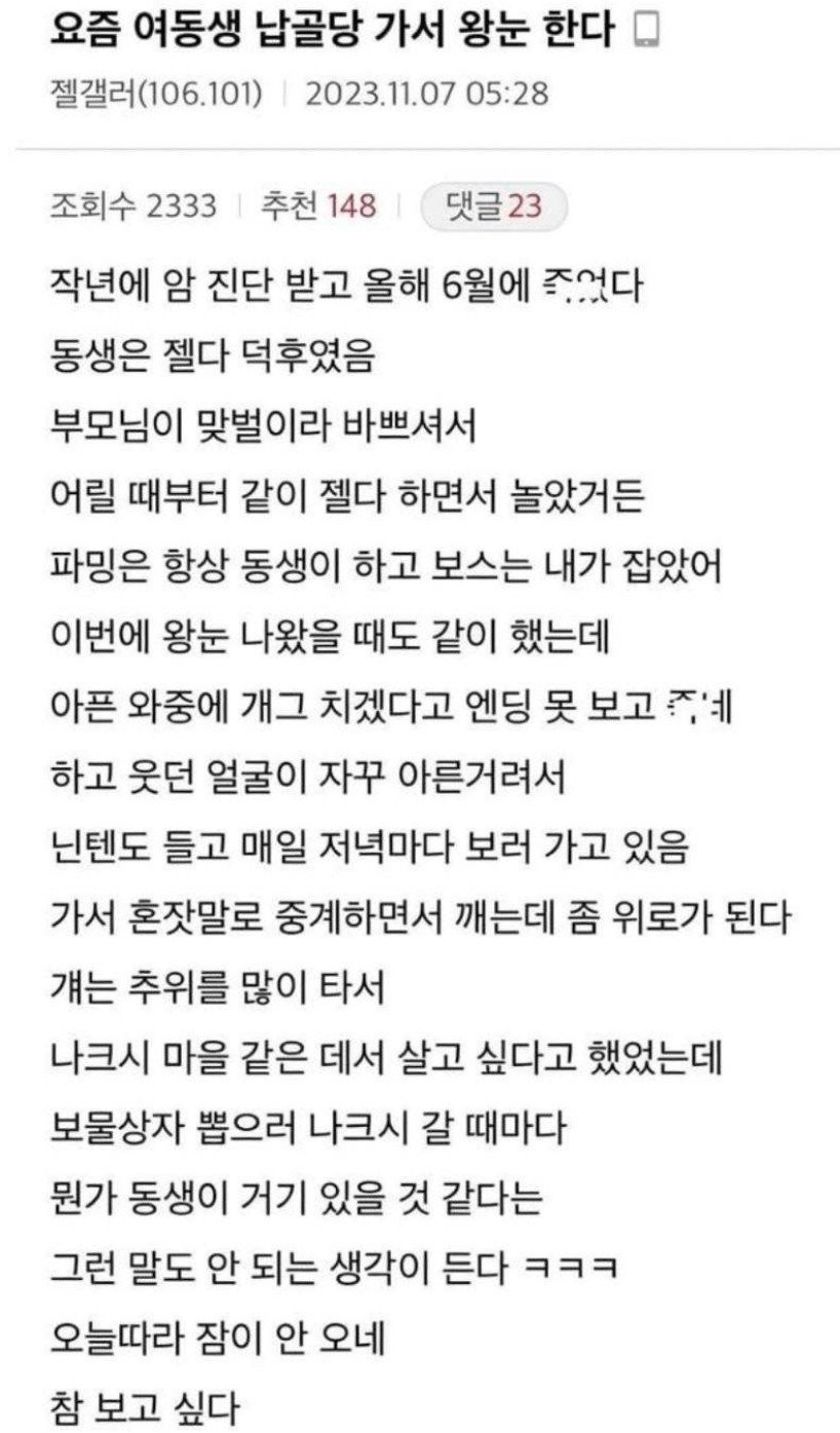 여동생 납골당 가서 닌텐도 하는 친오빠