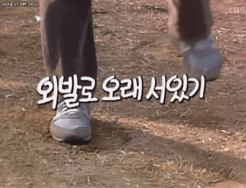 bt1a67124f5f730b4d0bc4c36a097d9c47.gif