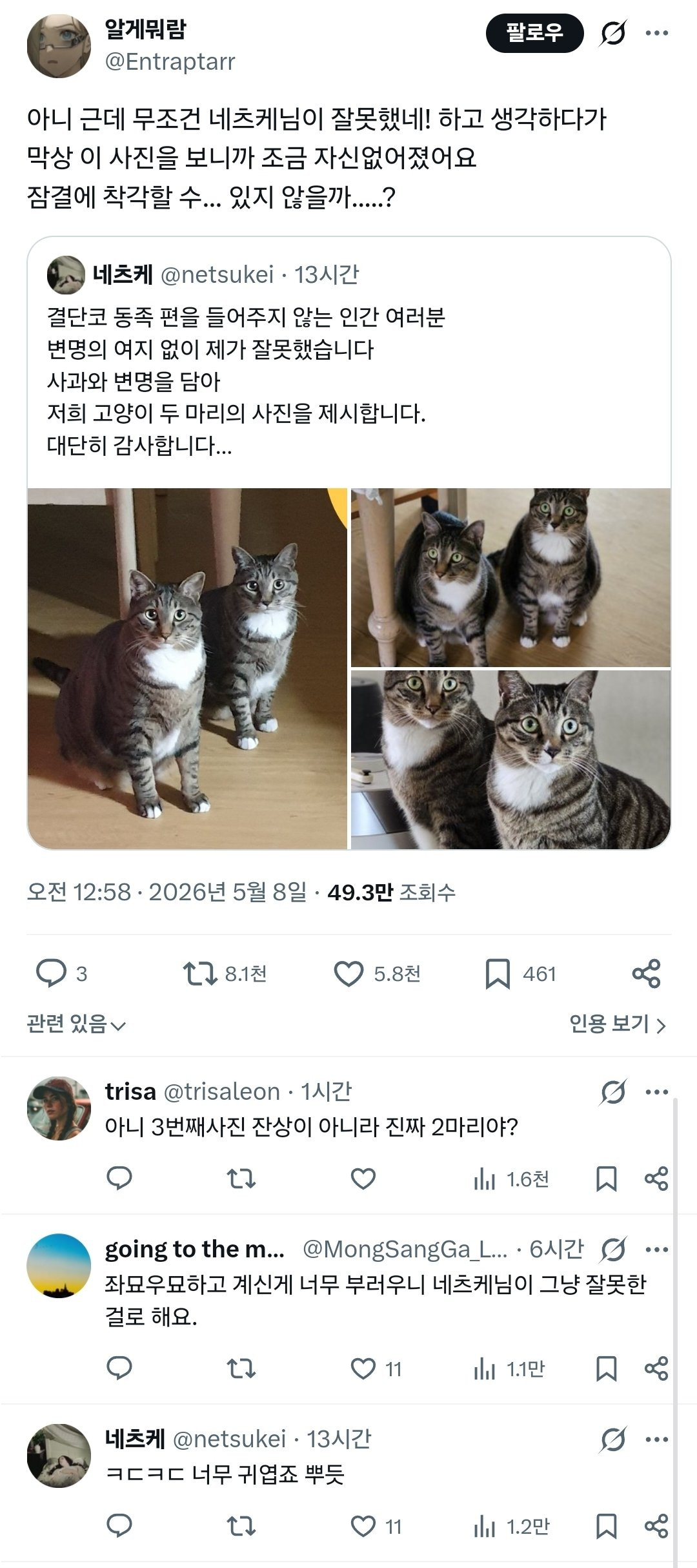 bt21a8047ca088798bdf612fb426def11b.jpg