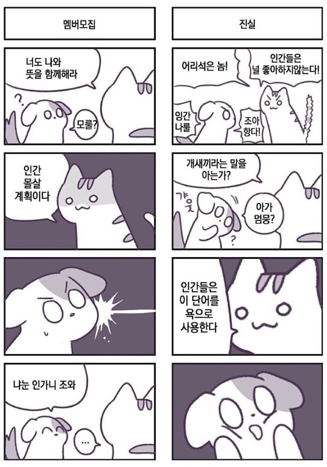 bt408adaf4ad377633eee6f1771afe40b8.png