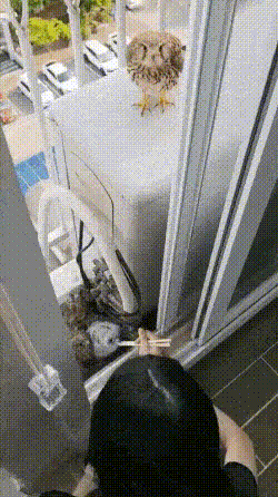 bt488964f4a56f7a8f734b749b06843bd5.gif
