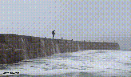 bt5340ccd77a841814104f1b2303691ce5.gif