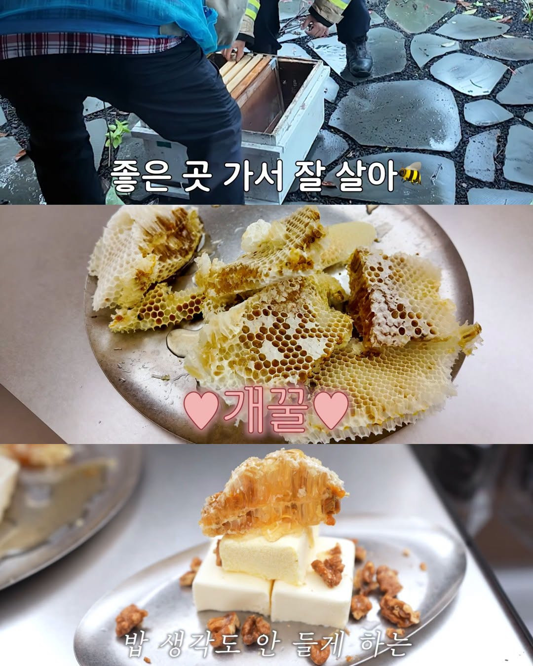 bt551c17e7b46b0bf1e8aa48fbf15fe7d9.jpg