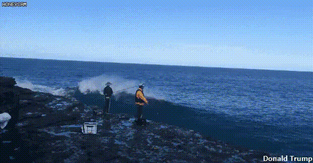 bt56a7b0f667641ac7a31cf638319f230e.gif