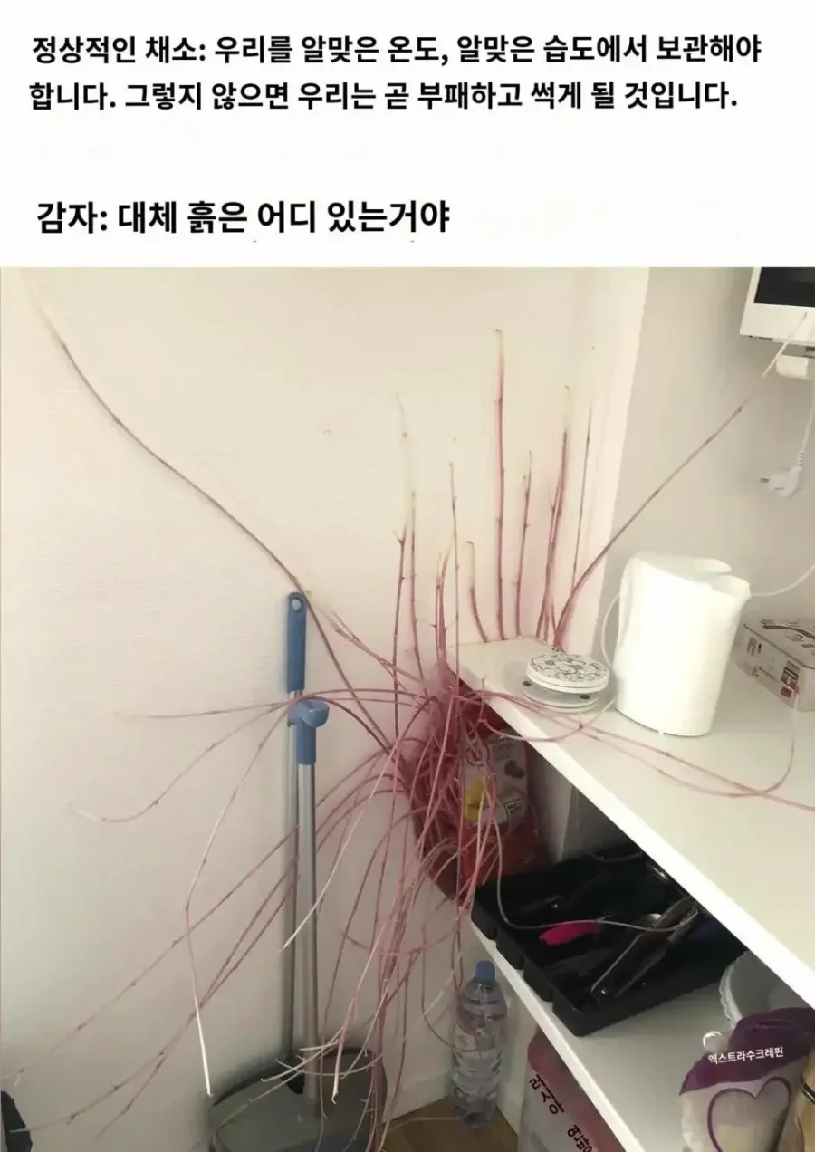 악마의 작물