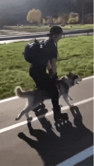 bt593cf465aeb89669ffa3d9833bacb47c.gif
