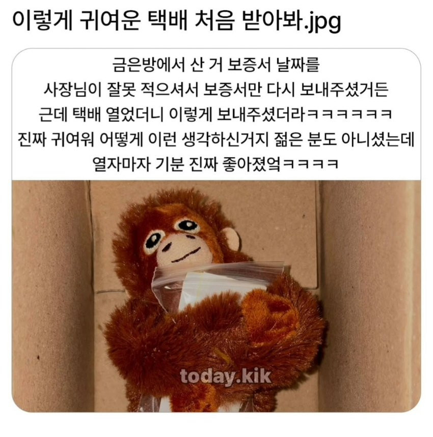이렇게 귀여운택배 처음 받아봐.jpg