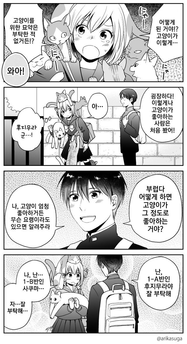 bt6e95c7a544d0e0640acd2ae34c0cd3ae.jpg