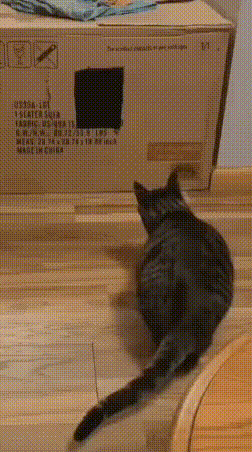 bt6fdc3d0c7ba1bab31c27a50c2b7b2b51.gif