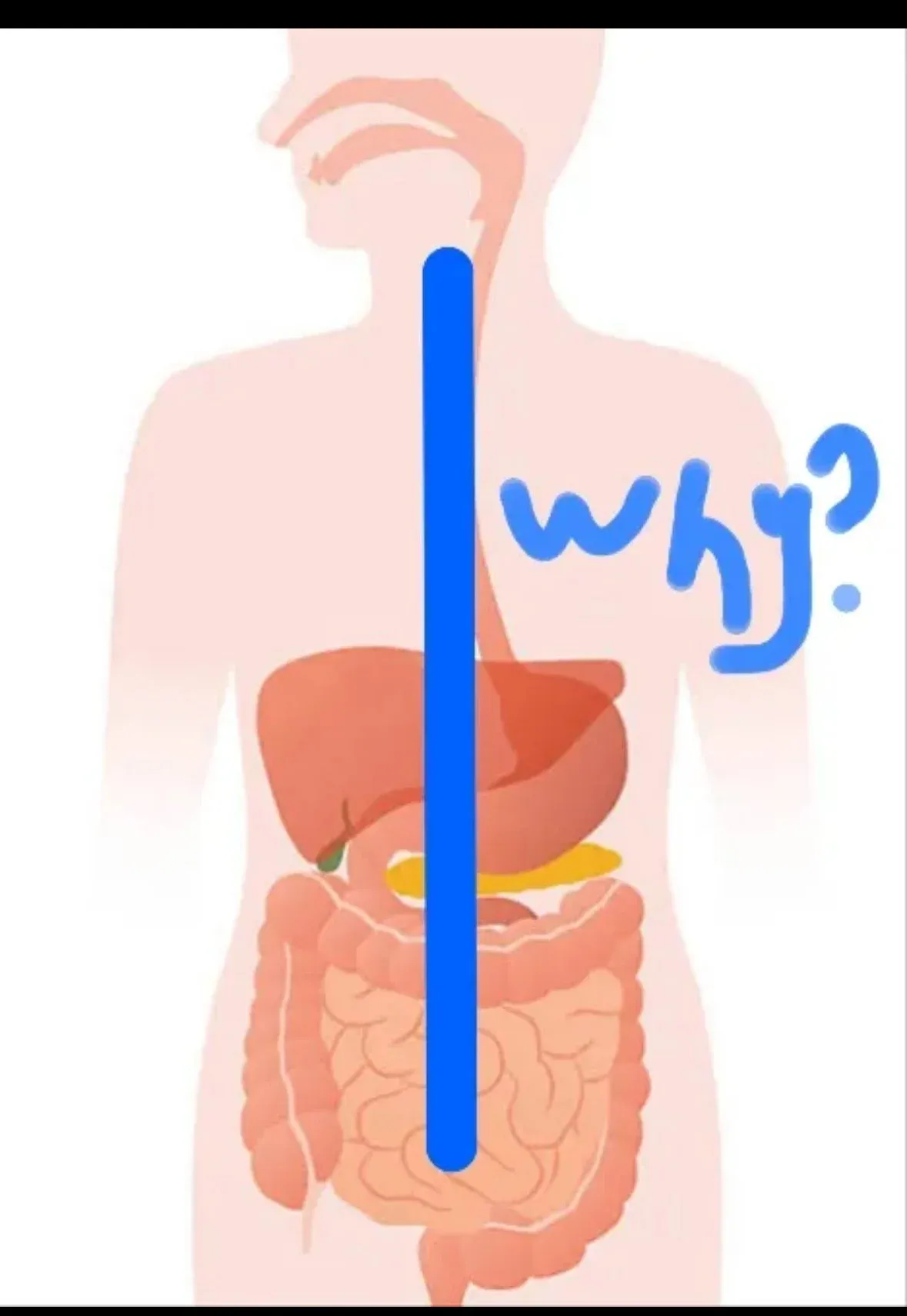 bt9c596ca4adf1a327d6f8d34eb69ab842.webp