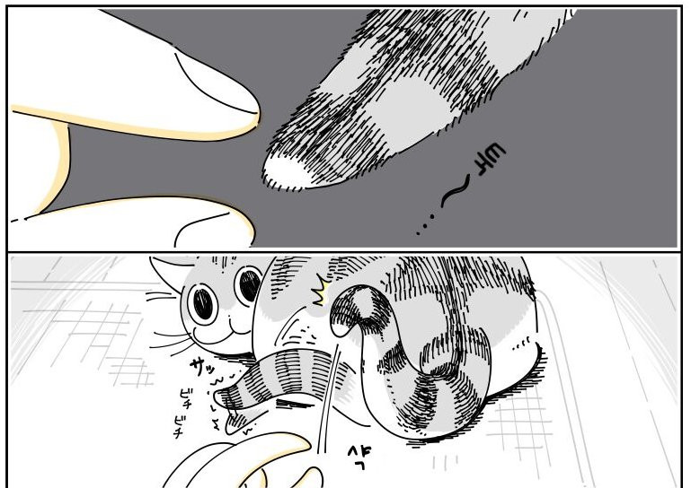 btaeae8315c42944c7ee1af2fd497def69.png