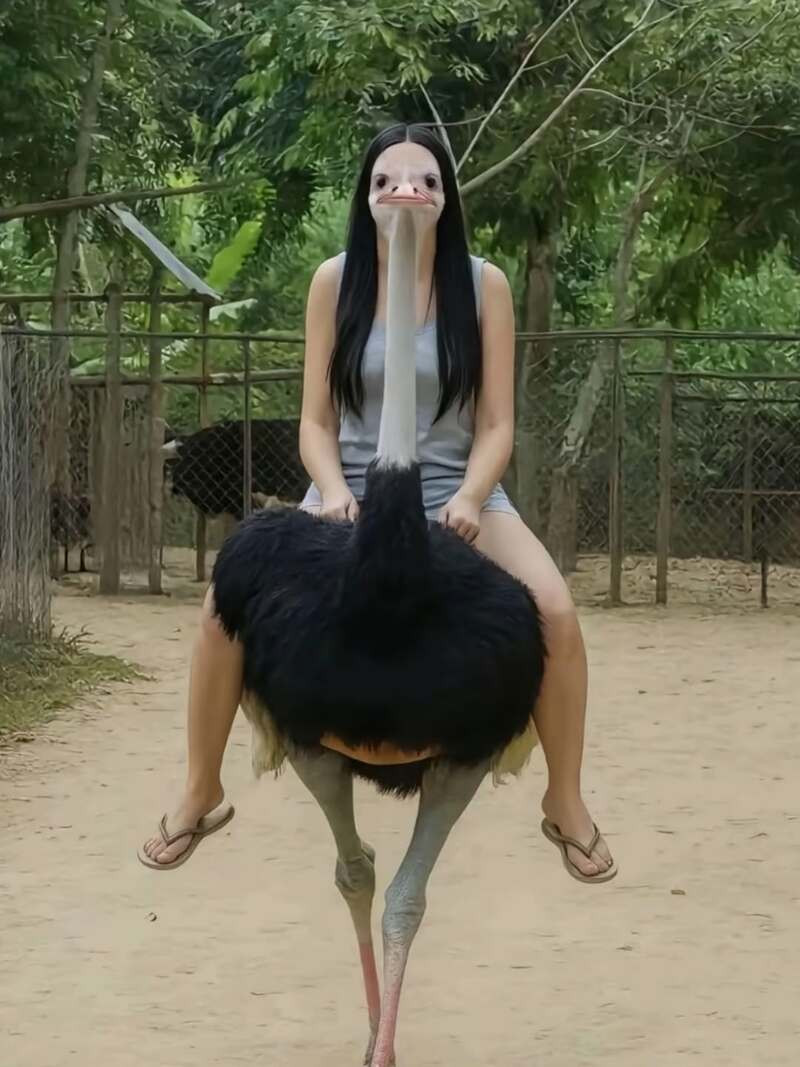 btaee7a7dfe4aaf15df1193465e225ca14.jpeg