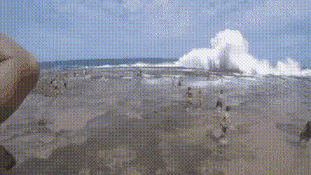 btb1910a3f6f2b3605c9e615491194bb2e.gif