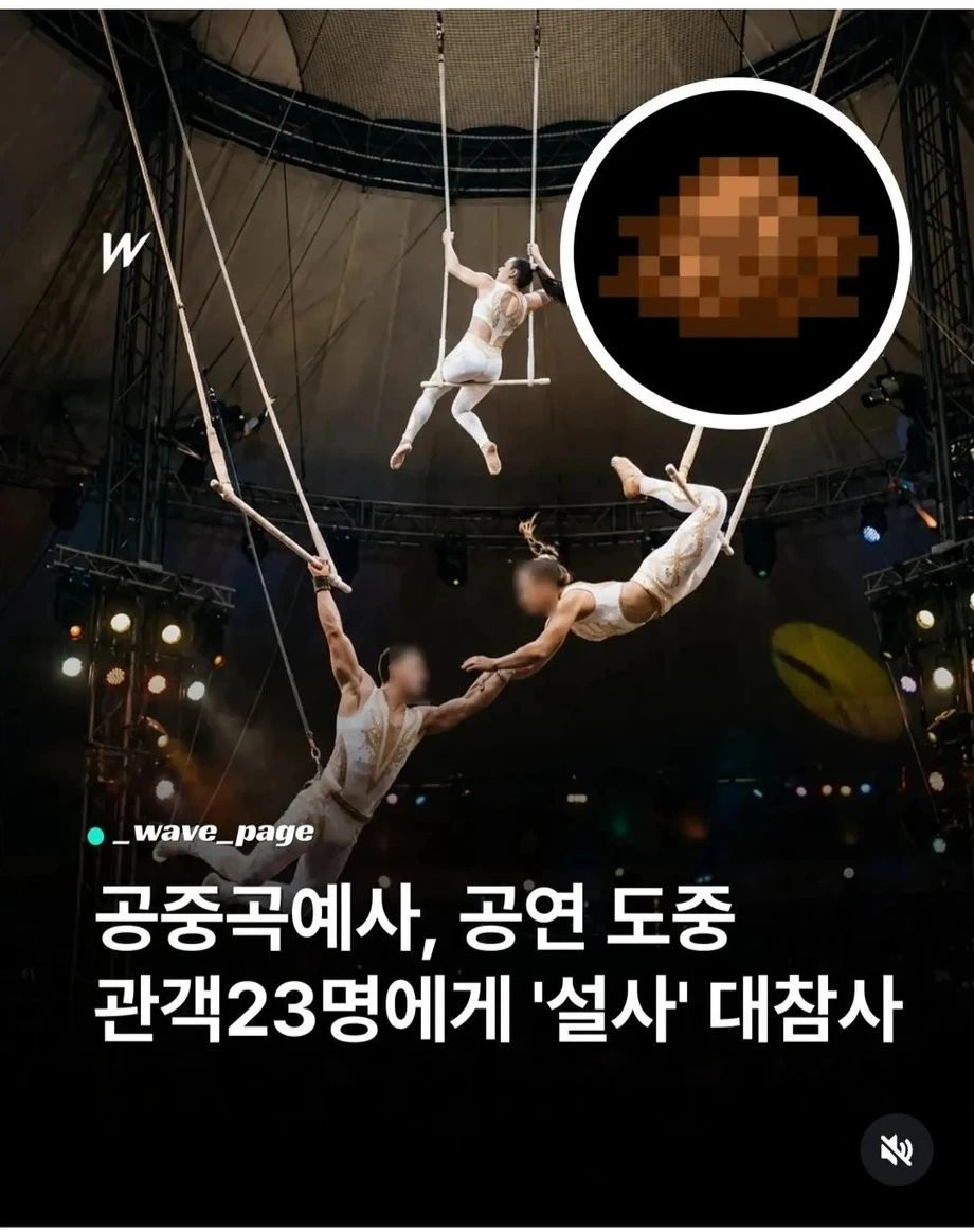 보면 지린다는 미국공연