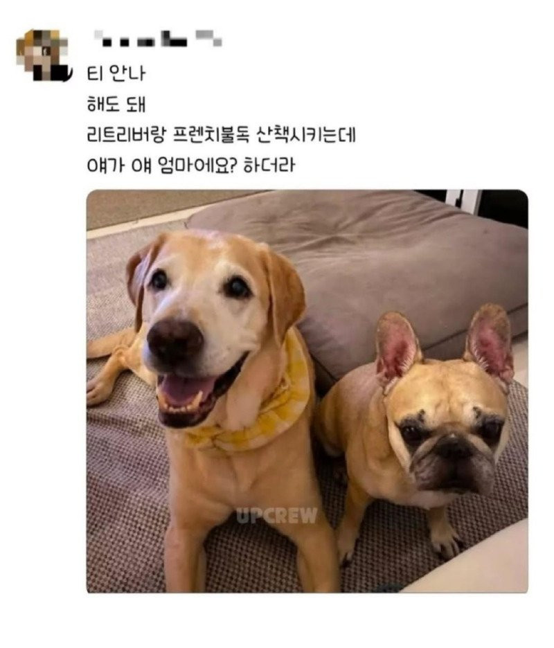 btcb986cbf1f91555cdc432721cfc01768.jpg