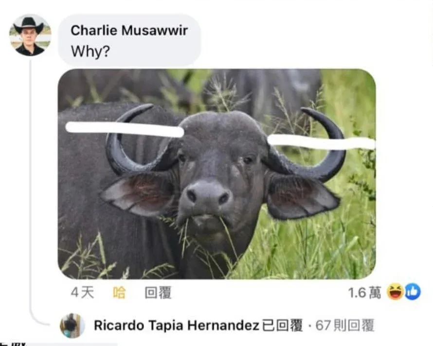 btcf36fff1cfb18d735e43194ad2c008c7.webp