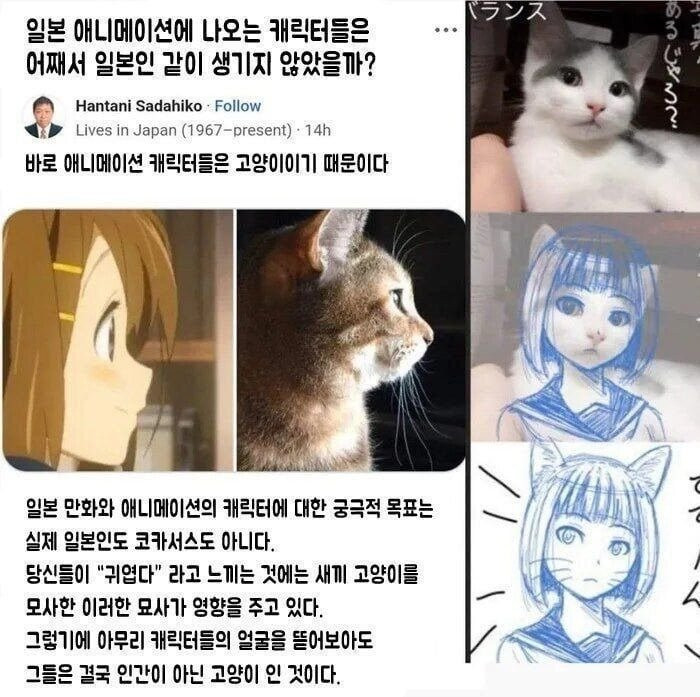 btd2b53f8fde35b3267aadd961c18087f9.jpeg