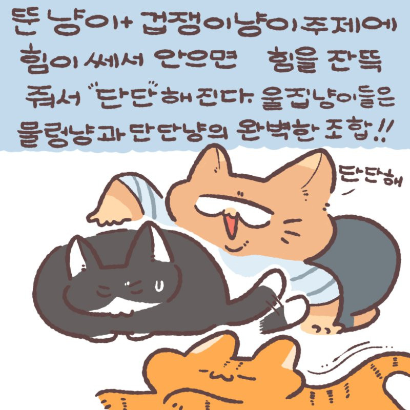 btd2ed966b50bb5590087f39e2e94bbe55.jpg