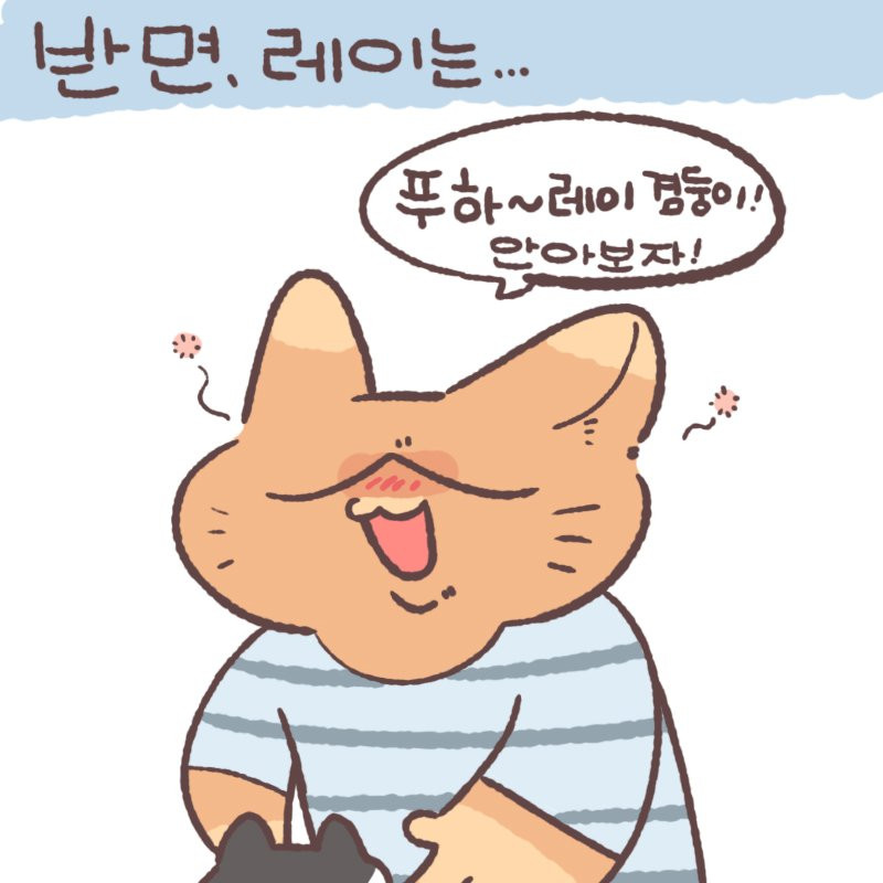 btdd948ced345df3e9e9ebd1ab89b3f3c2.jpg