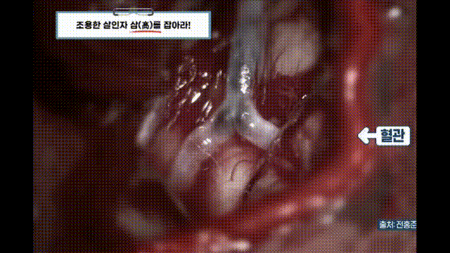 btf256cb47a99d56c8dab04c6c7fb0c31f.gif