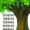 천 번은 해도 부족한 말