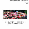 사과 키워 팔다가 수천억 대부호가 된 노부부 썰.jpg