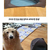 강아지집 쉽게 만드는 방법