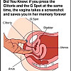 그거 아시죠. 클리토하고 G 스팟을 동시에 누르면 여자의 뇌에 남자의 얼굴이 스캔되어 평생 남습니다.