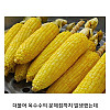 3000년된 문명이 리셋당한 이유