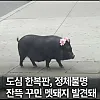 꽃단장하고 오니 사람들이 쳐다보네