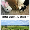 우리중에 가짜가 있대
