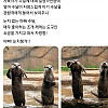 미국 샌디에이고 동물원의 눈치 없는 아빠 수달