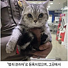 태국에서 지속적으로 경찰 깨문 고양이 체포