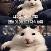 나 좋다는 사람이 한 둘이 아니다ㅋㅋ