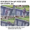 92세 할머니가 2m 높이 요양원 담장을 넘어 도망첬대