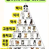 강아지 지능 티어표.jpg