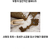 중세 교회의 성수가 실제로 효과가 있는 이유