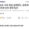 젊은 20대 여성들은 페미가 거의 없다?? 